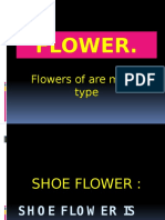 Flower.: Flowers of Are Many Type