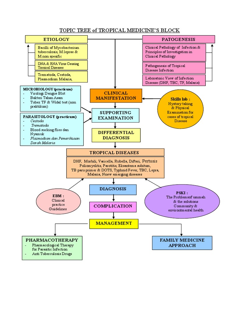 Topic Tree of Tropical Medicine'S Block: Patogenesis Etiology | PDF ...