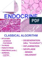 Ch24 Endocrine