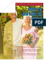 ine_adulto_mayor.pdf