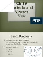 CH 19 Viruses and Bacteria-2