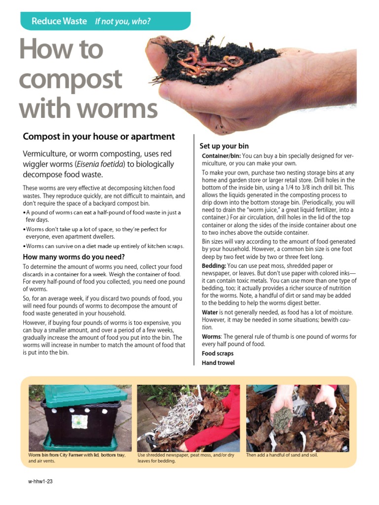 How To Compost With Worms | PDF