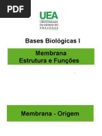 Aula Cap 10 e 11.pptx