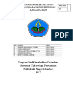 Laporan Praktikum P Yana