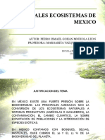 Principaes Eco Site Mas en Mexico