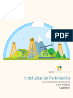 Cap 1 Hidraulica Blog of Oil PDF