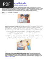 Como Cuidar de Um Rottweiler