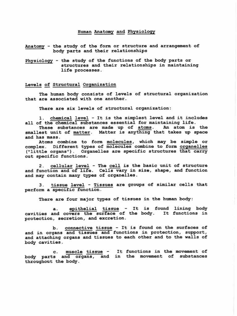 CHAPTER 1 INTRODUCTION TO HUMAN ANATOMY AND PHYSIOLOGY PDF visual data 6