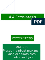 SCF2 C4 4 Fotosintesis