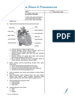Sains T3 Bab 2 - Peredaran Darah Dan Pengangkutan (Nota Ringkas) PDF
