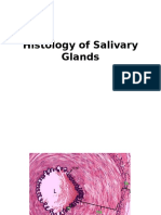 Histology Glands 5-2-15