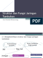 Struktur Dan Fungsi Jaringan Tumbuhan