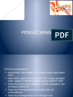 Pengecapan Dan N Vii