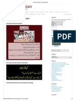 Native Pakistan: Marriage Jokes (In Urdu & Punjabi)