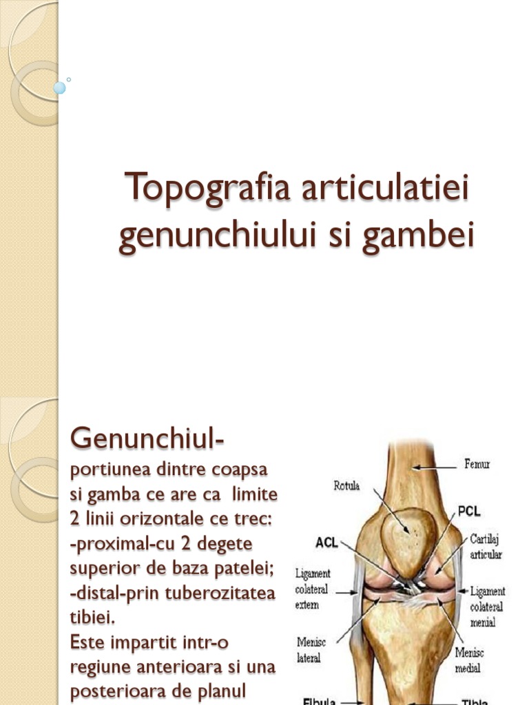 Articulația Genunchiului Gamba 2015 | PDF