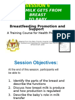 Sesi 6-How Milk Gets From Breast To Baby