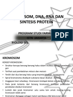 Kromosom, Dna, Rna Dan Sintesis Protein