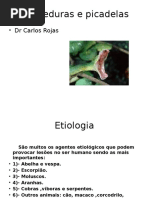 Mordeduras e Picadelas 