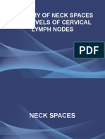 Anatomy of Neck Spaces and Levels of Cervical Lymph Nodes