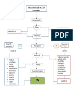 Diagrama Cultura de Paz