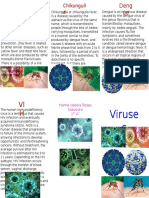 Triptico Virus