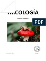 Cuaderno de Prácticas Micología 