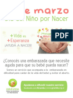 Afiche Web2