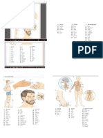 parts of the body complet.docx