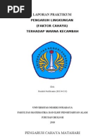 Download Pengaruh Cahaya MatahariPengaruh Lingkungan by Hendrik_Nurfitrianto SN34491523 doc pdf