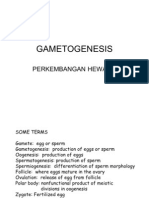 PresentationGAMETONENESIS PH-1