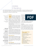 Principles Wound Healing_WCCSpring2011.pdf