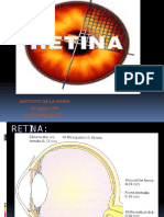 Understanding the Structure and Function of the Retina