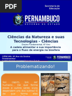 Aula 2 a Cadeia Alimentar e Sua Importância Para o Fluxo de Energia Na Biosfera