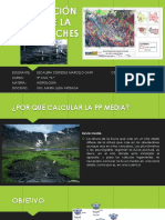 Precipitación Media de Una Cuenca PDF