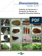 Colheita de Sementes e Produção de Mudas de E F N PDF