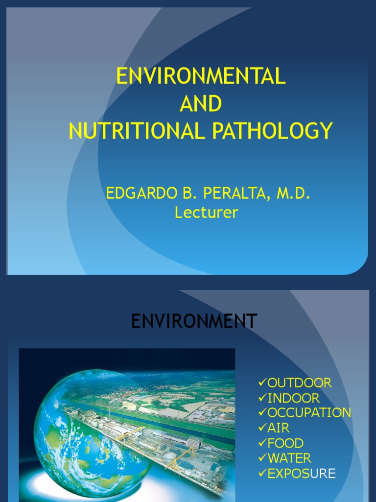 Air Pollutants and Lung Damage | PDF | Ozone | Air Pollution