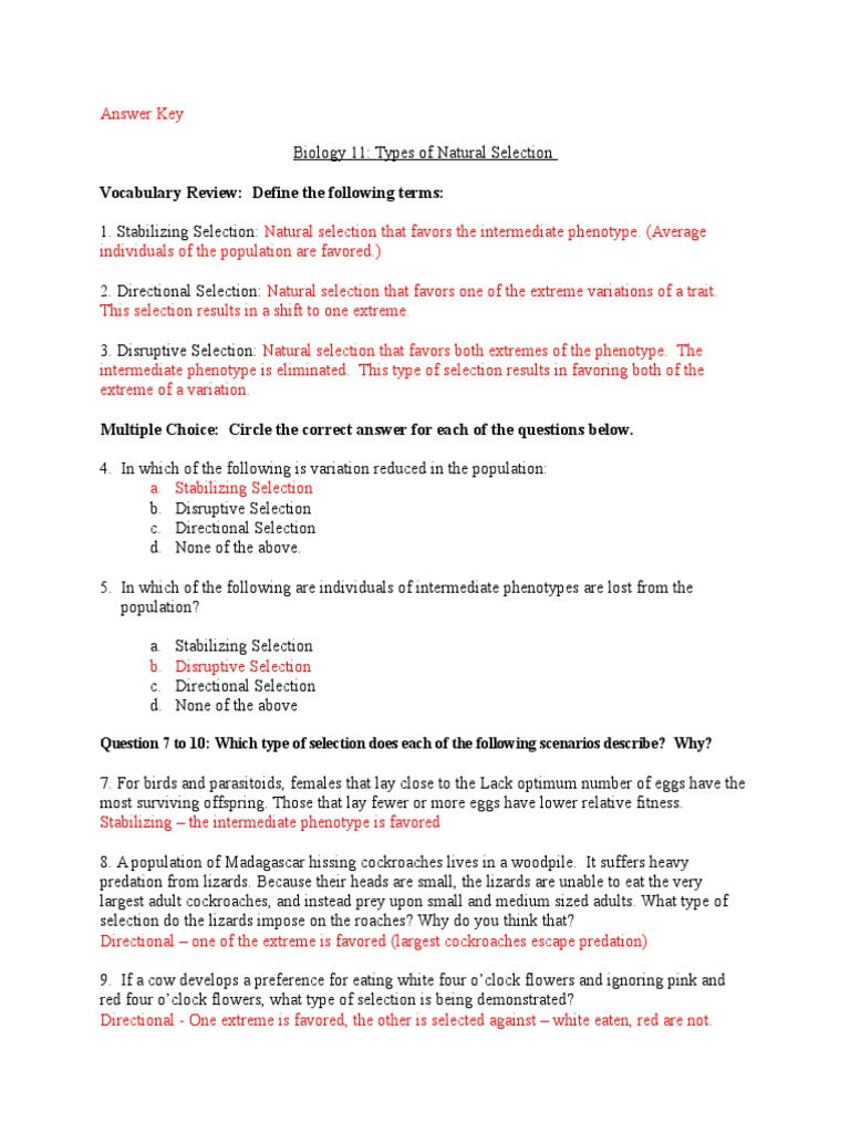 Types of Natural Selection  PDF  Natural Selection  Predation For Types Of Natural Selection Worksheet