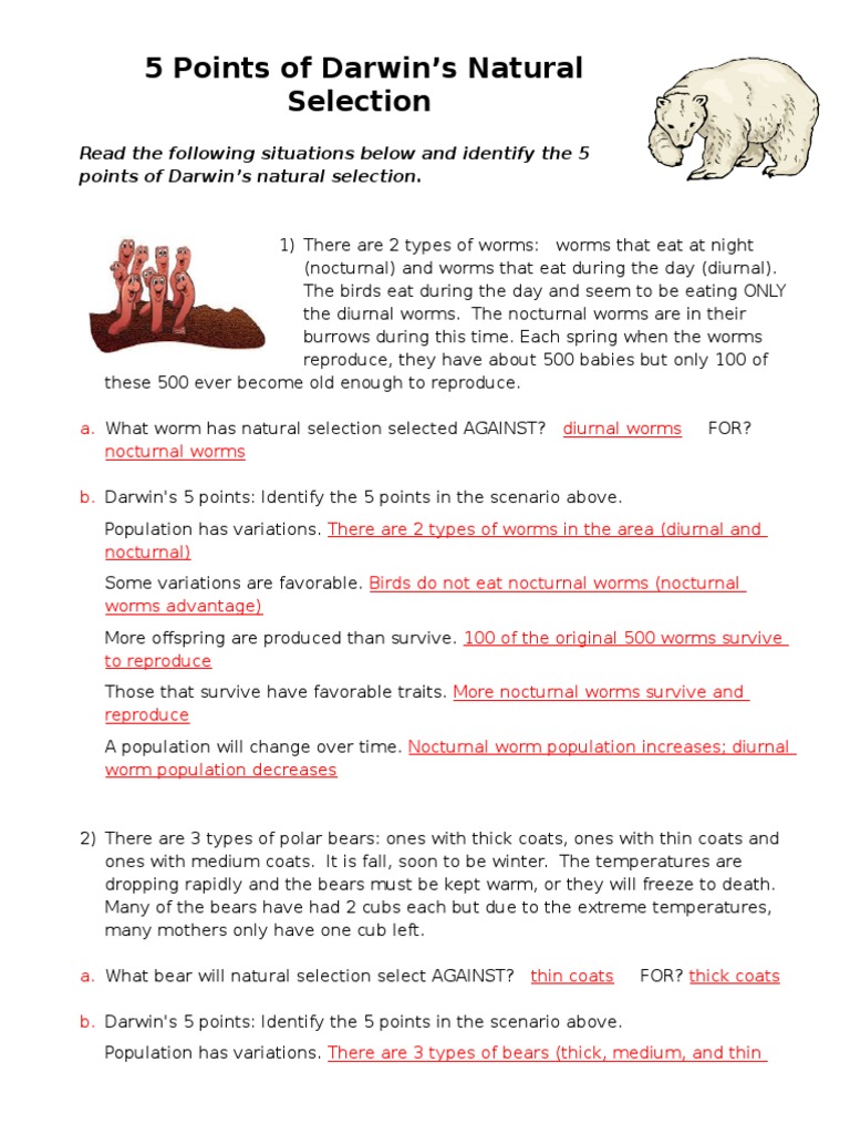 5-points-of-natural-selection-answer-key-pdf-natural-selection-adaptation