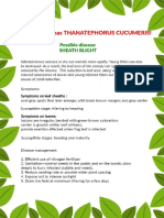 T Cucumeris PDF