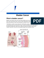 BLADDER CANCER - AUA.pdf
