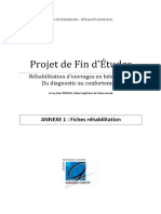 Projet de Fin D Etudes - Carbonatation