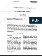 Jalur Mekanisme Apoptosis Jurnal