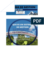 Sistema de Gestion.pdf