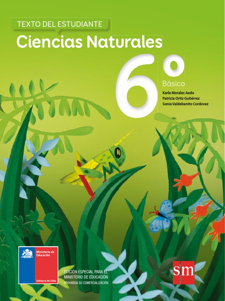 Ciencias Naturales Sexto Basico.pdf | Aprendizaje ...