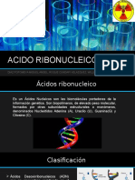 Acido Ribonucleico