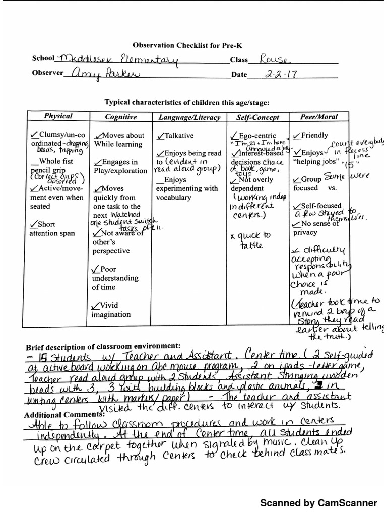 Amys Observations PDF