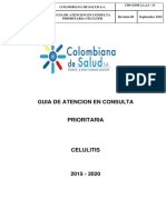 Guia Celulitis c Prioritaria 2015 2020