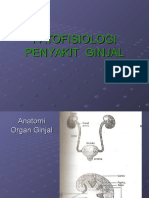 Penyakit Ginjal