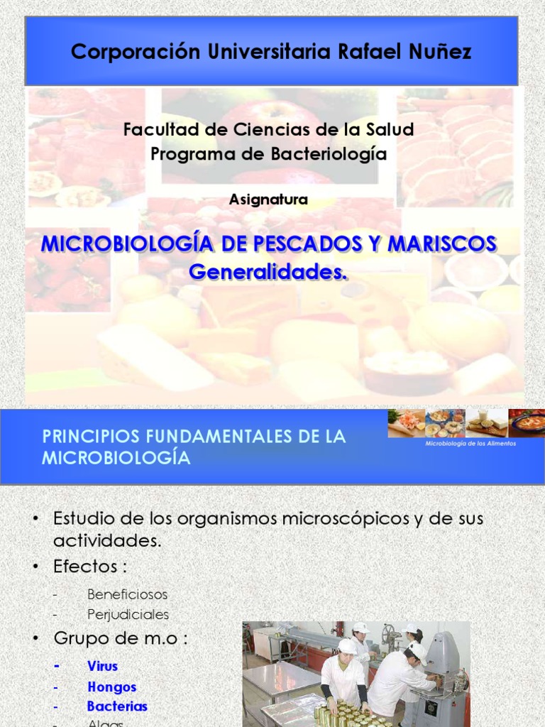 Microbiología de Los Alimentos | PDF | Microorganismo | Hongo
