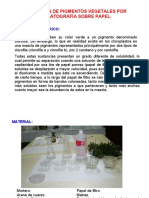 CLOROFILA.pdf